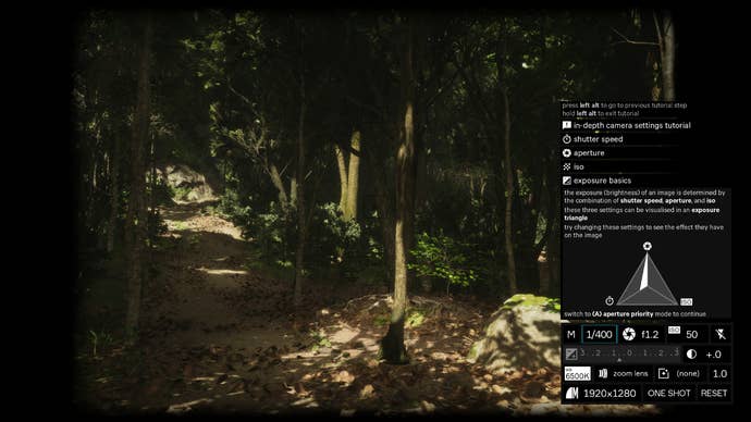A photography guide in Lushfoil photography sim.