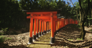 Review SIM Photography Lushfoil