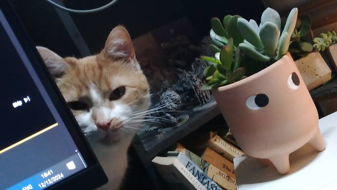 My cat on my desk.