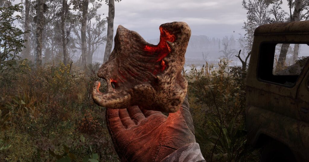 The latest patch of Stalker 2 again comes with four valuable and improved figures
